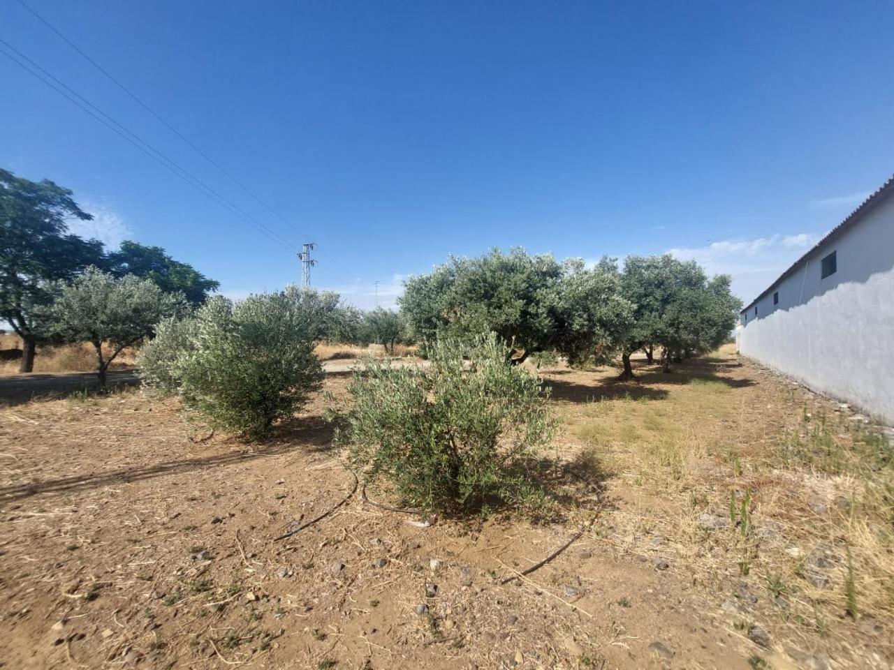 Cortijo Cruces - Sevilla Ferienhaus *