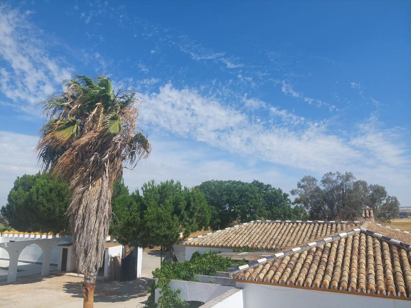 Ferienhaus Cortijo Cruces - Sevilla *